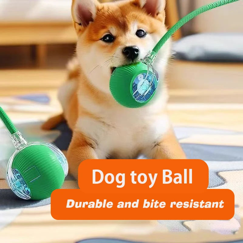 Pelota Inteligente Interactiva para Perros