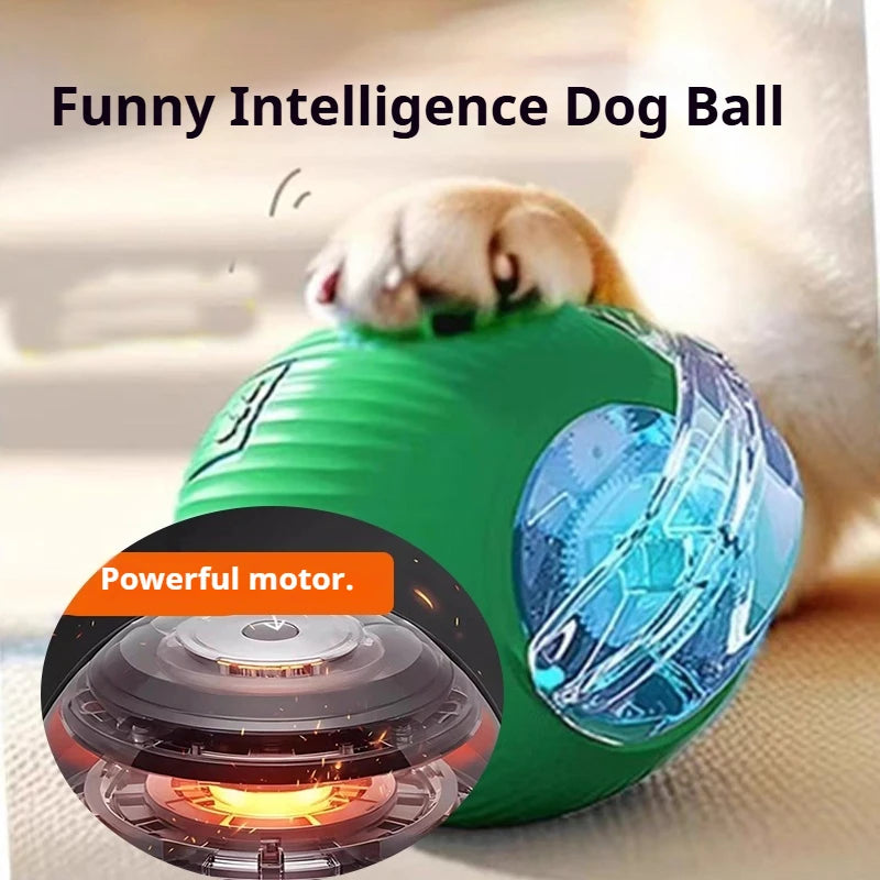 Pelota Inteligente Interactiva para Perros
