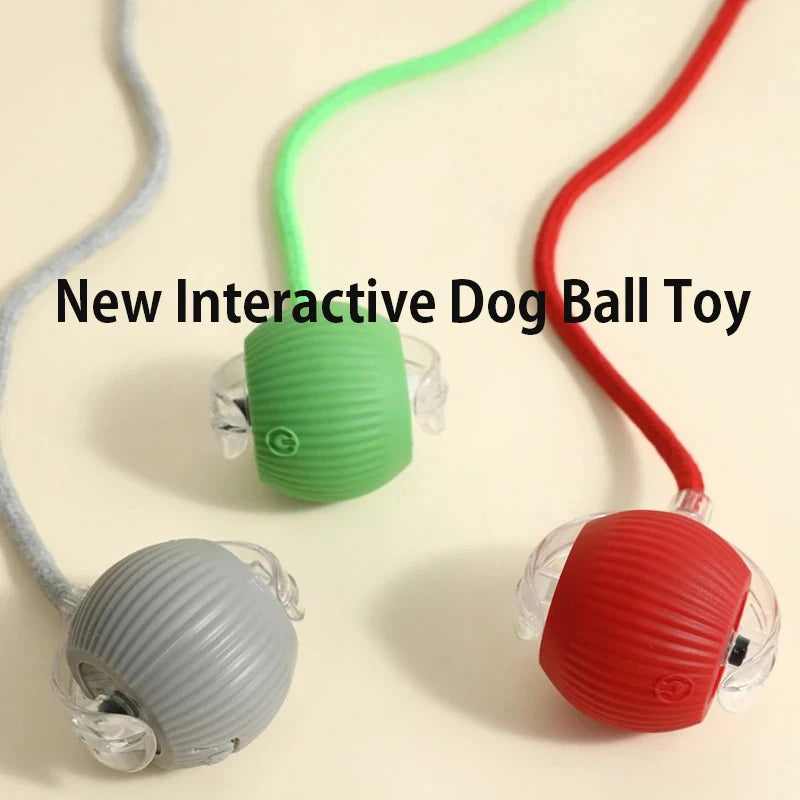 Pelota Inteligente Interactiva para Perros