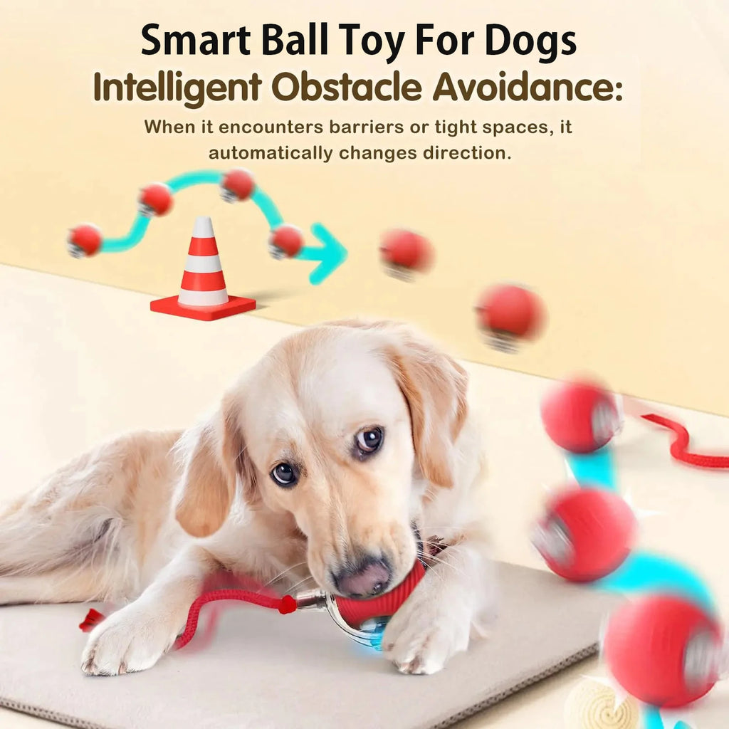 Pelota Inteligente Interactiva para Perros